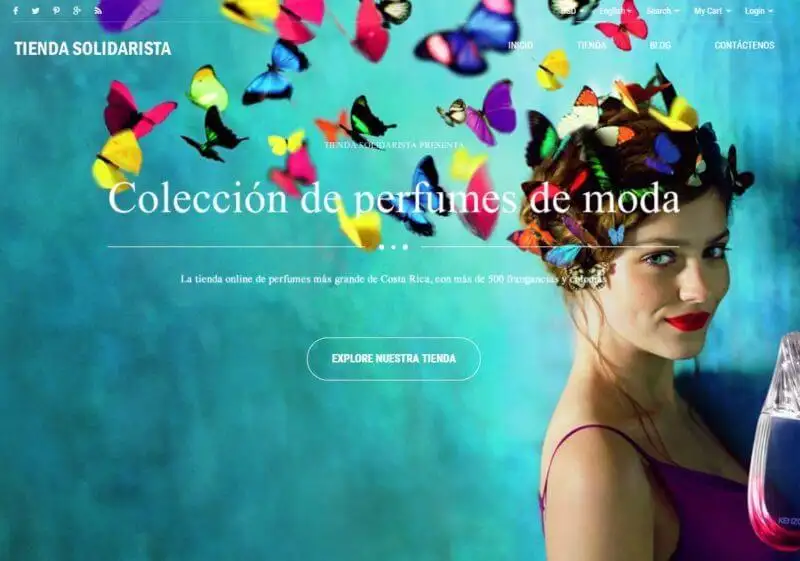 Solidarity Store (2017)