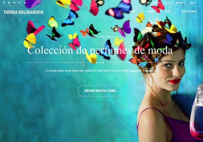 Tienda Solidarista (2017)